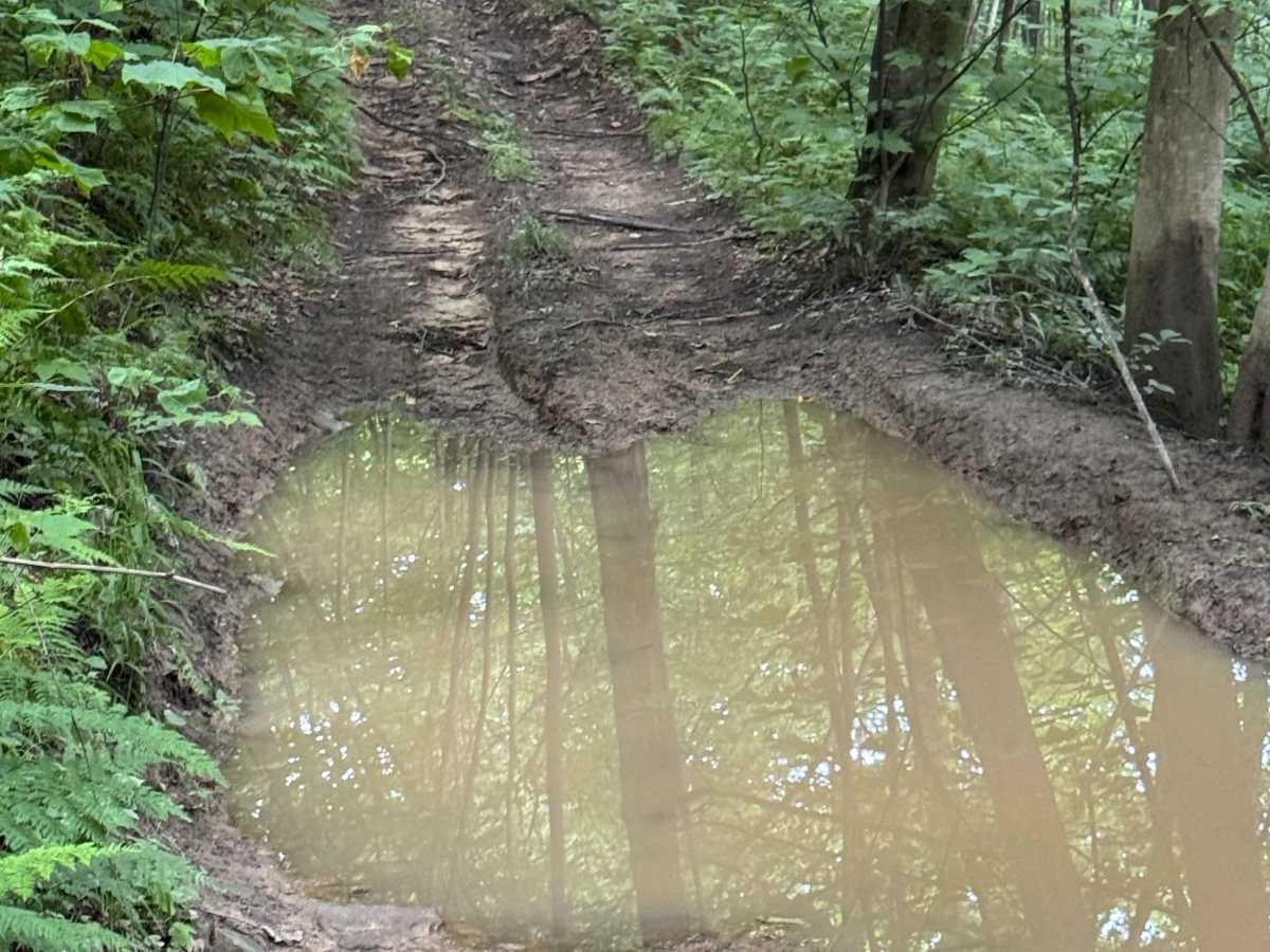Trail 28 photo 5