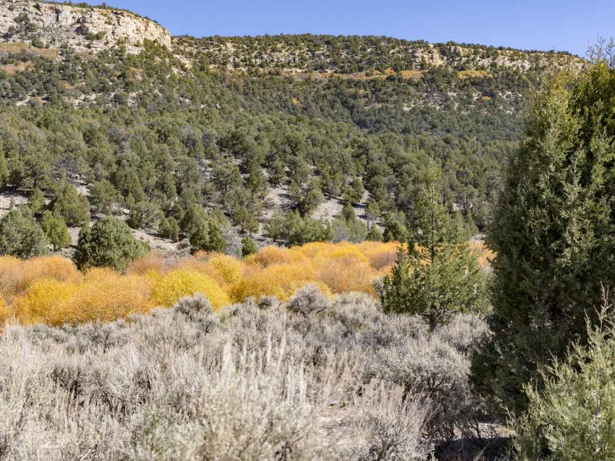 Salina Creek photo 2