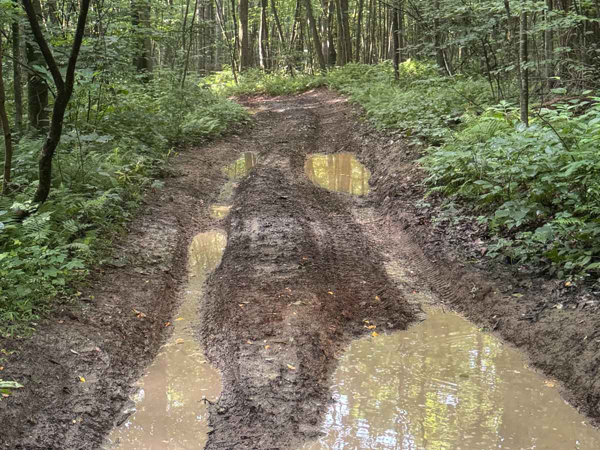 Trail 52 photo 2