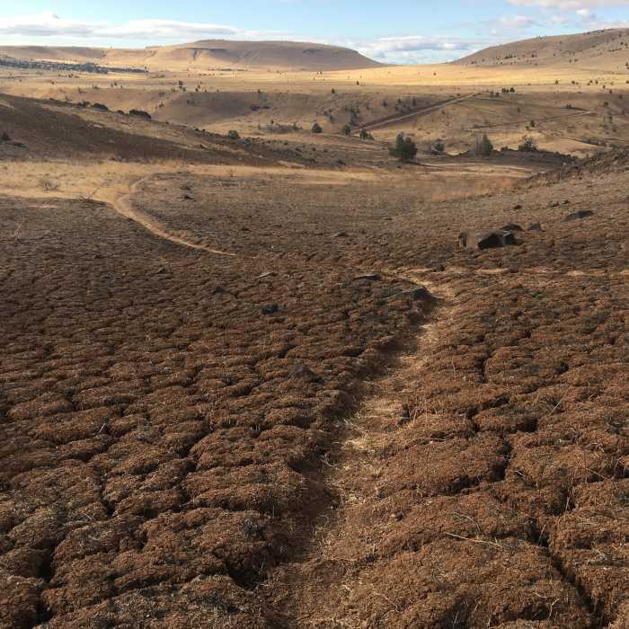 Near Kah-Nee-Ta Tour