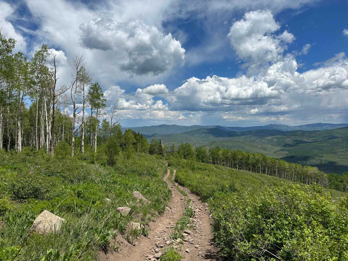 Porter Mountain - FS 534 trail photo
