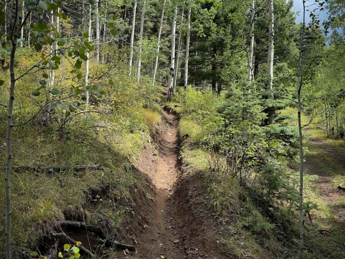 Ojito Maes Trail - FS 182  photo 2