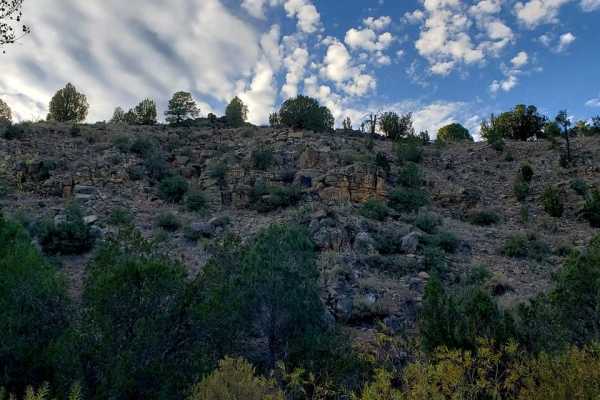 Cactus Flats