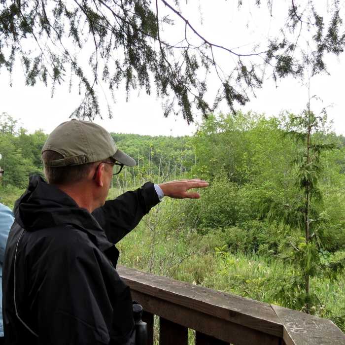 Looking over Lower Hawk's Pond from an elevated view platform. Near Sid Knutson Puget Sound to Hood Canal Trail