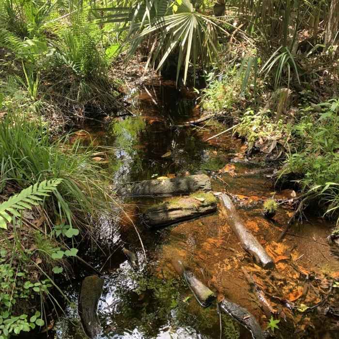 Near Volksmarch Trail