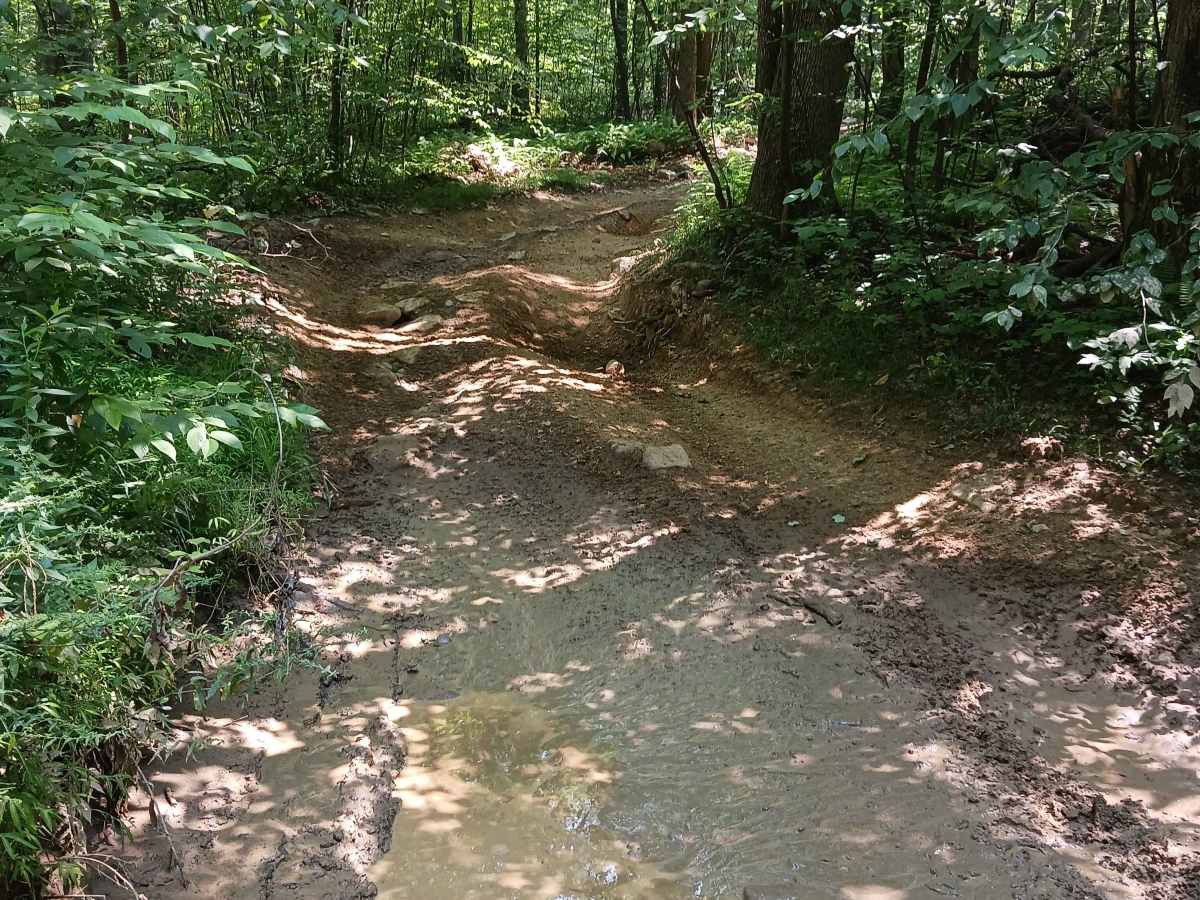 Raptor Path Trail - Rock Run Recreation Area photo 6