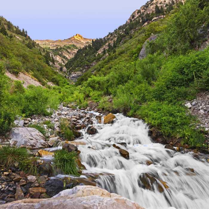 Near Lost Creek Falls Trail