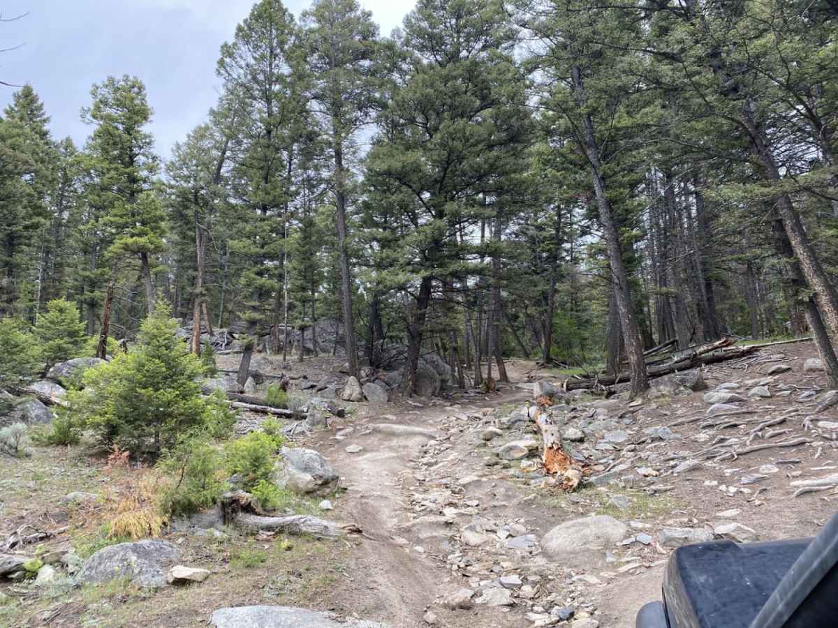 Ringing Rocks Trail photo 3