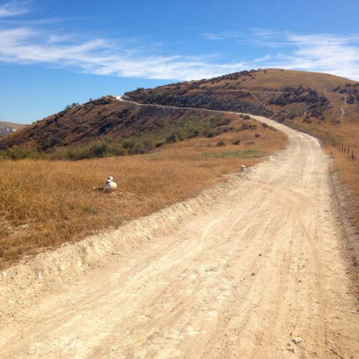 Near Middle Range Fire Trail