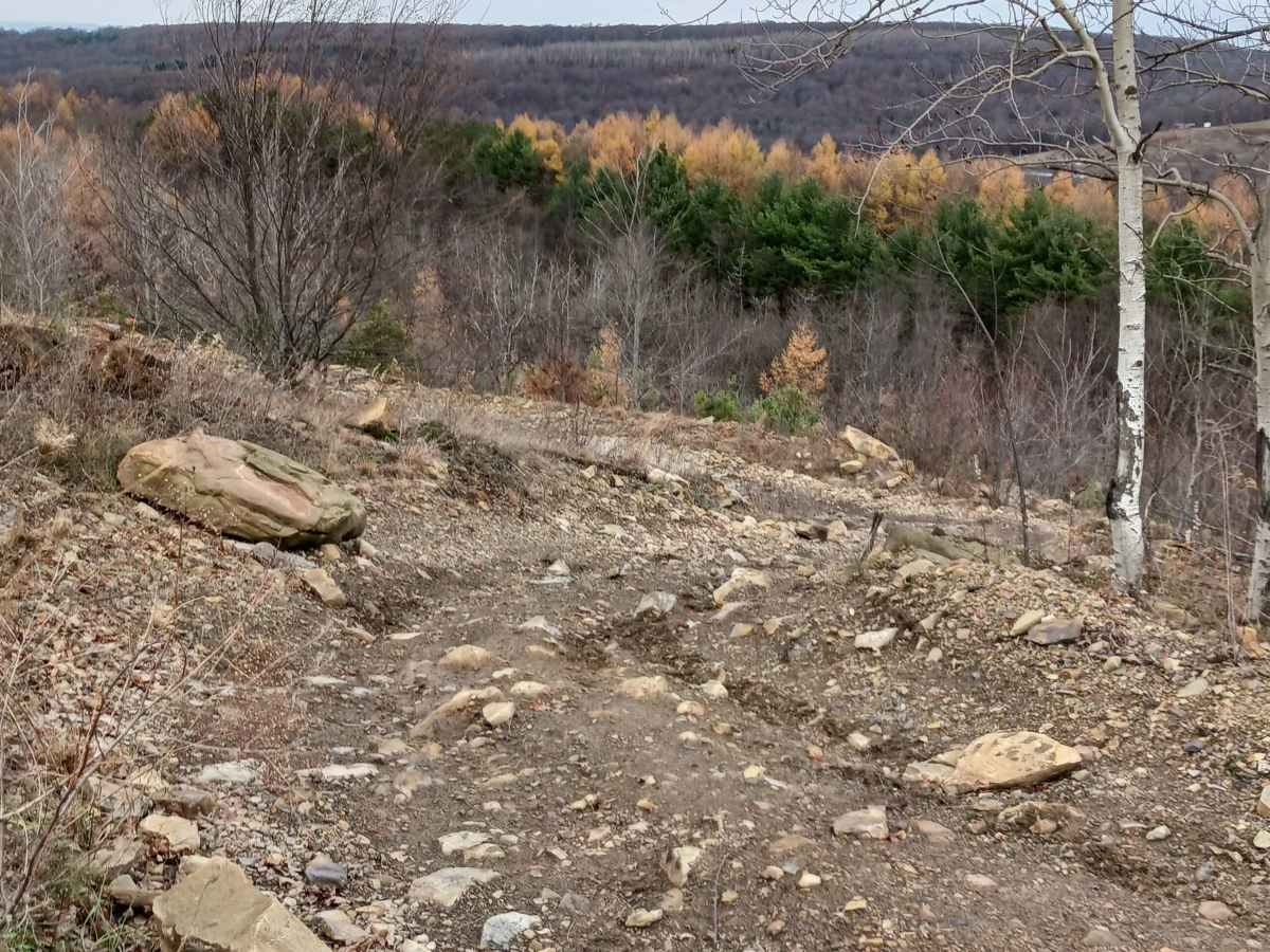 Trail 11 - Rock Run Recreation Area trail photo