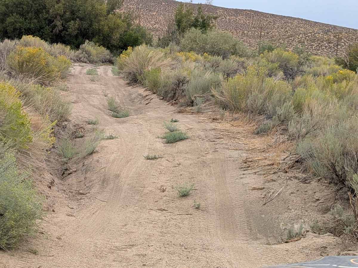 Lucky Strike Mine - FS 7S105 photo 3