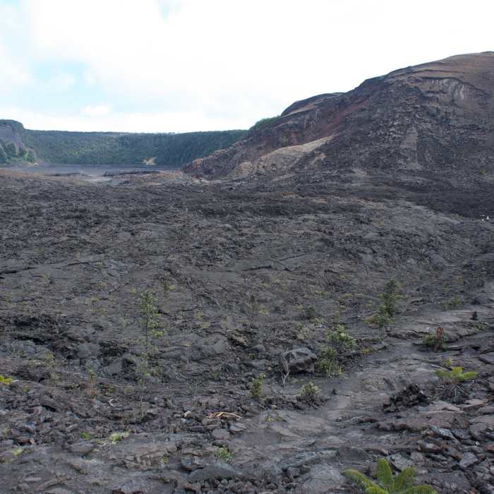 Emerging from the rainforest into the crater. Near Byron Ledge Trail