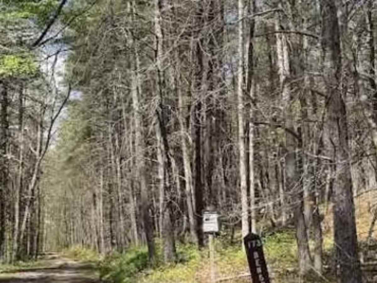 Bensons Run trail photo