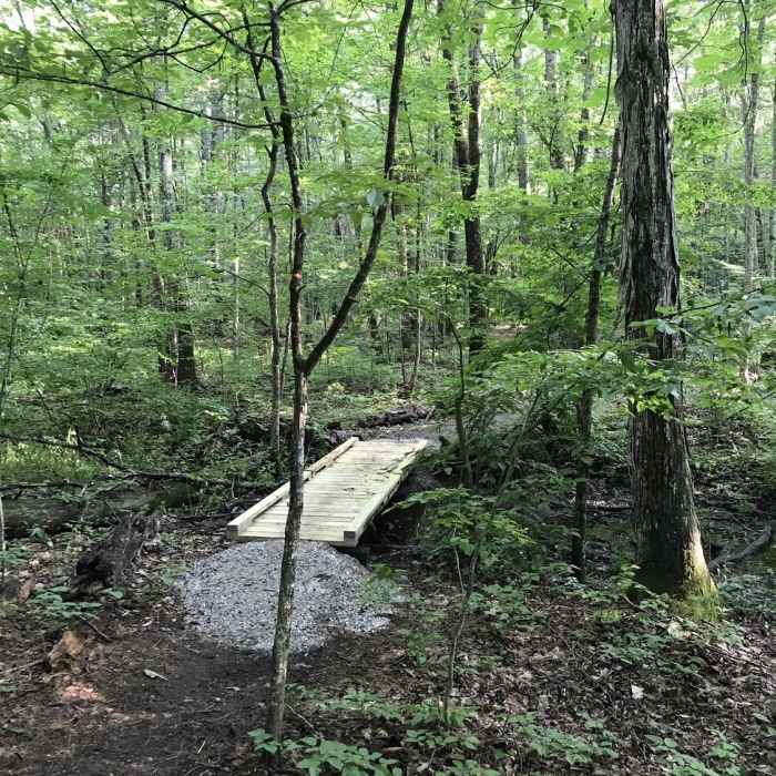 Near Stevens Woods White Trail