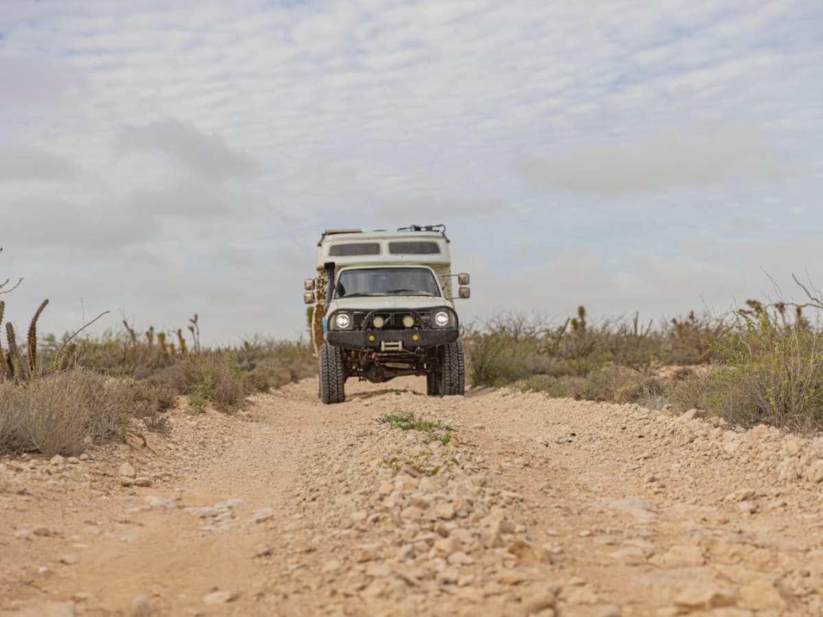 Desert Jungle to San Ignacio photo 4