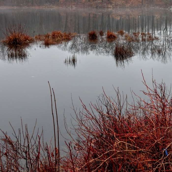 Nothing beats finding a new perspective on an often visited trail in your hometown - Mahlon Dickerson Reservation, NJ Near The Highlands Trail - NJ Section