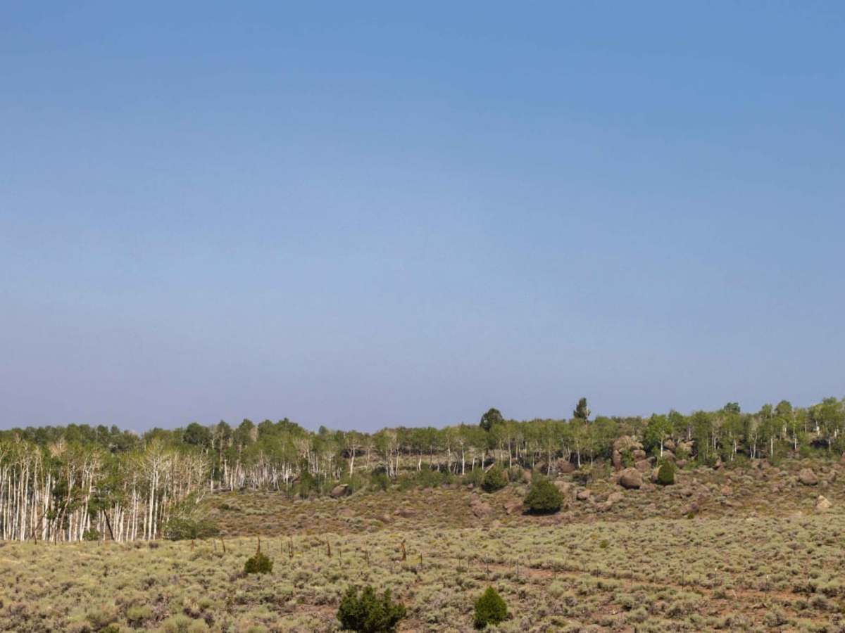 South Mytoge photo 6