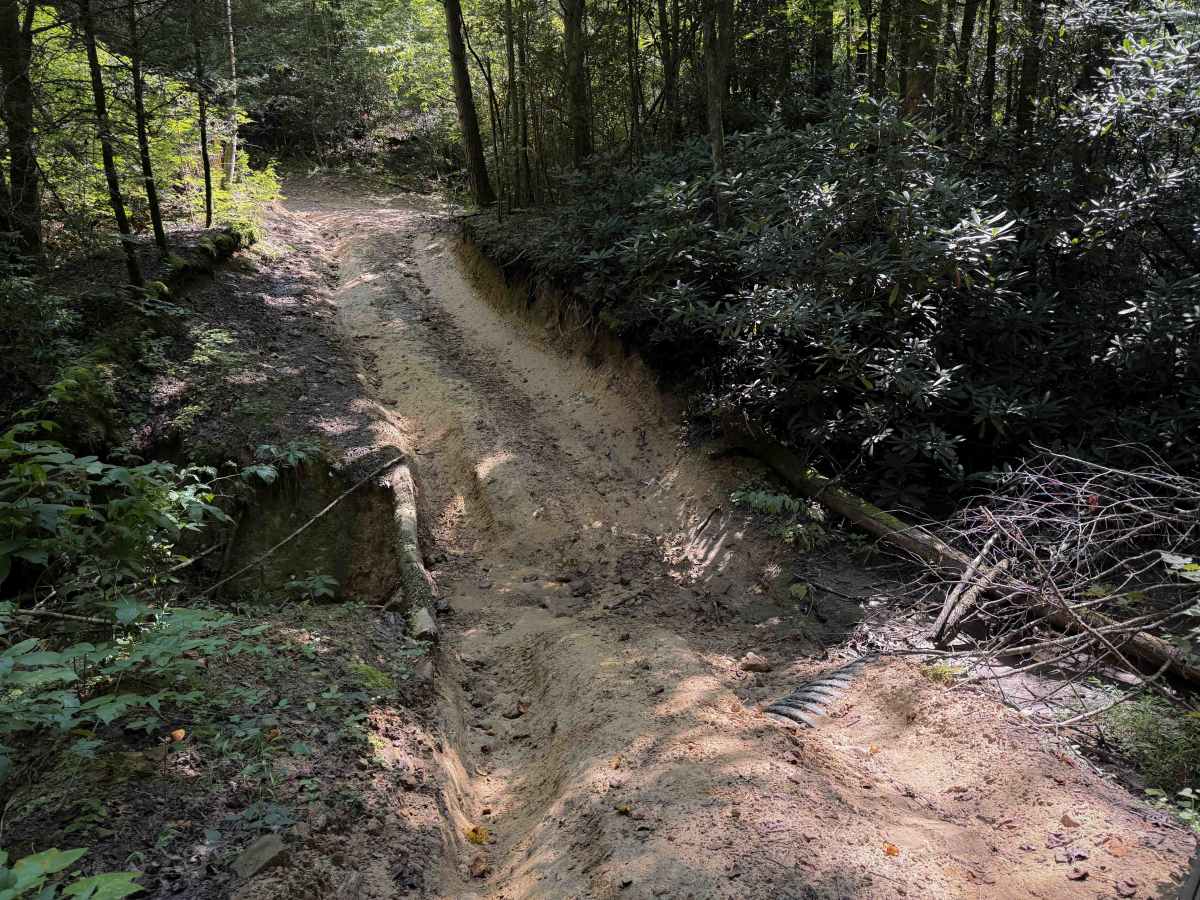 Short Ridge Trail trail photo