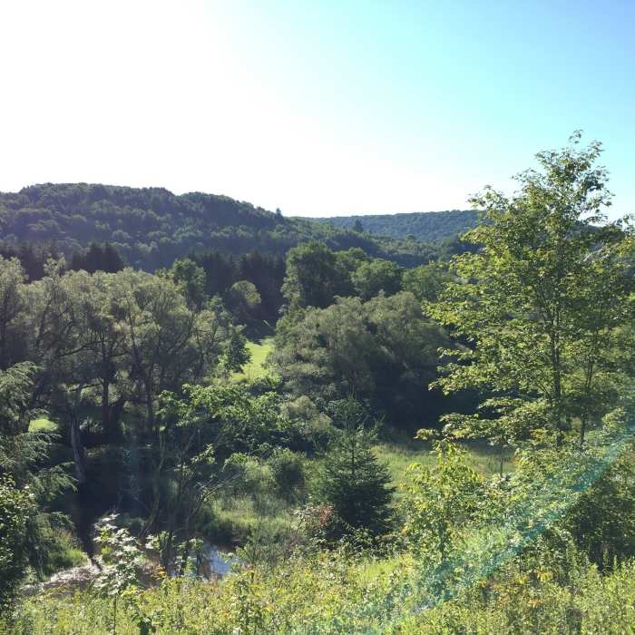 Near Andes Rail Trail & Bullet Hole Spur