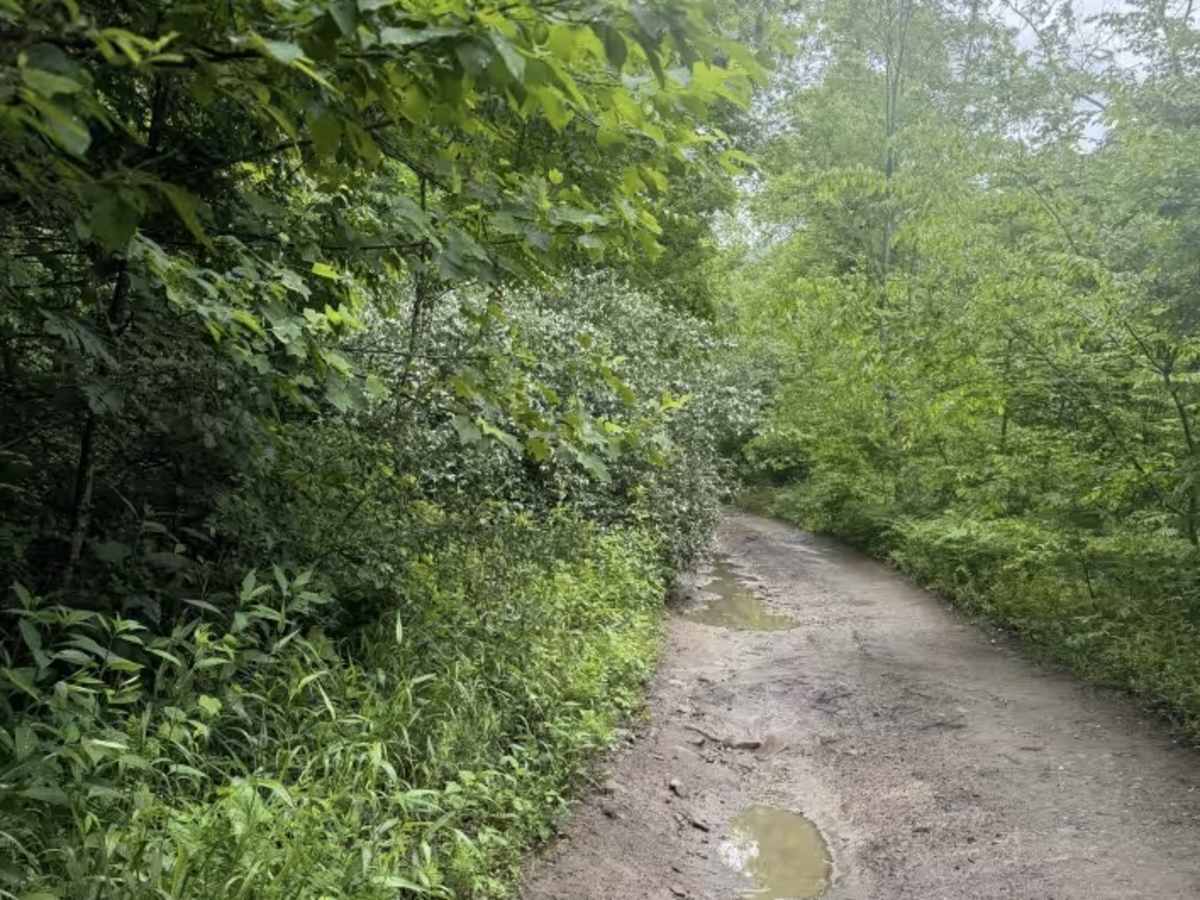 The Rocket Boys Trail trail photo