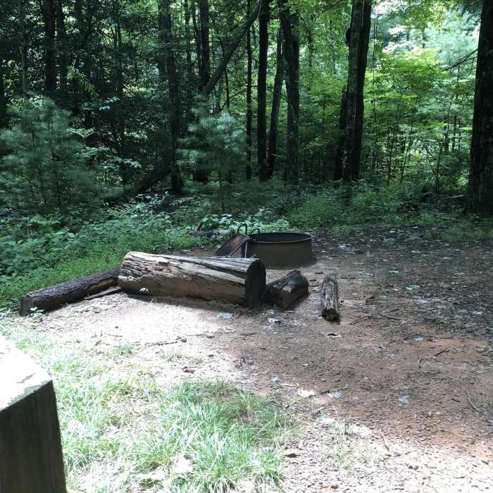Near Lower CCC Trail