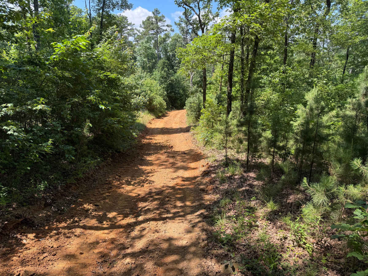 Napoleon knob photo 2