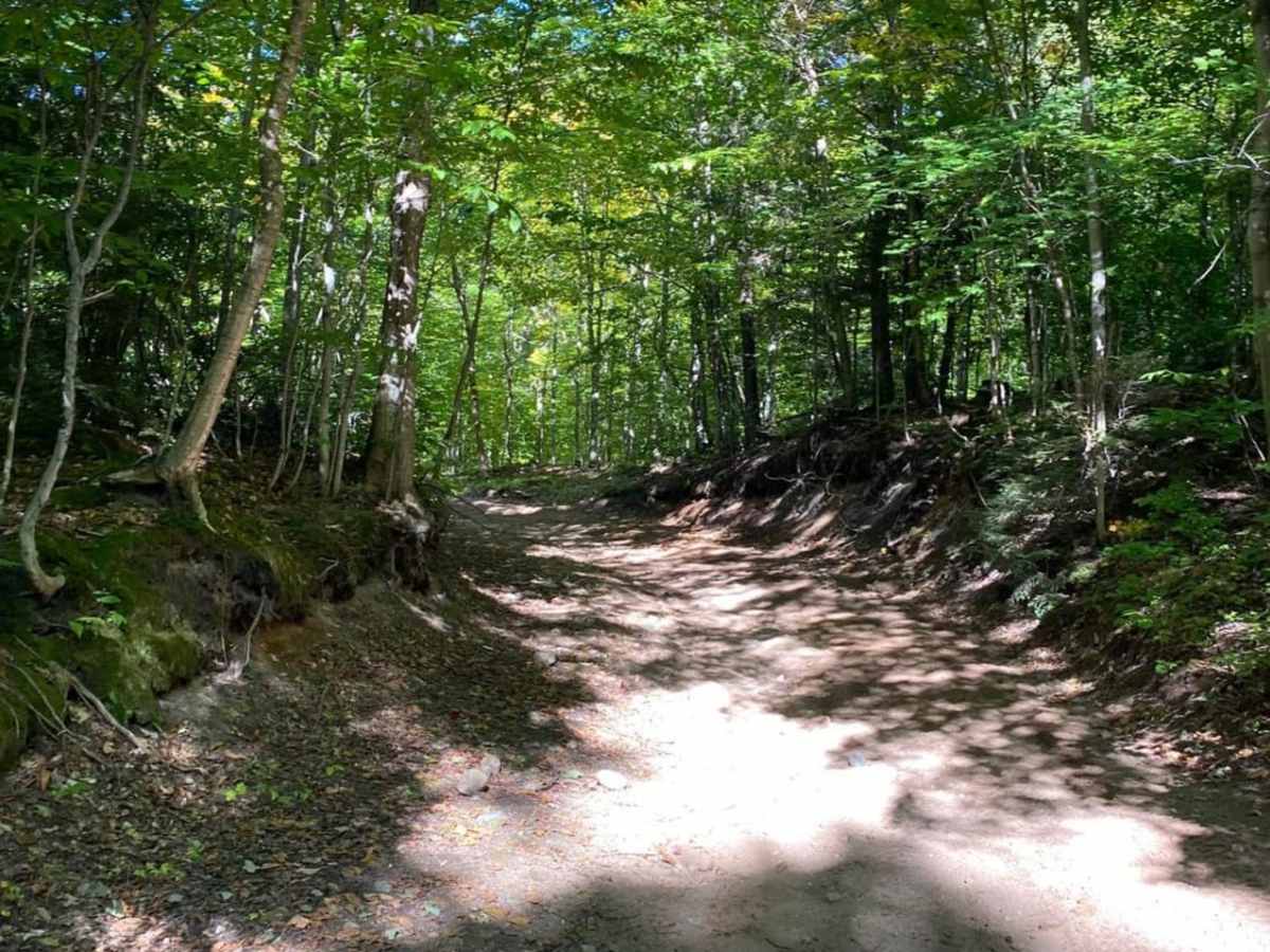 Candy Cane Lane - Trail 419 photo 4