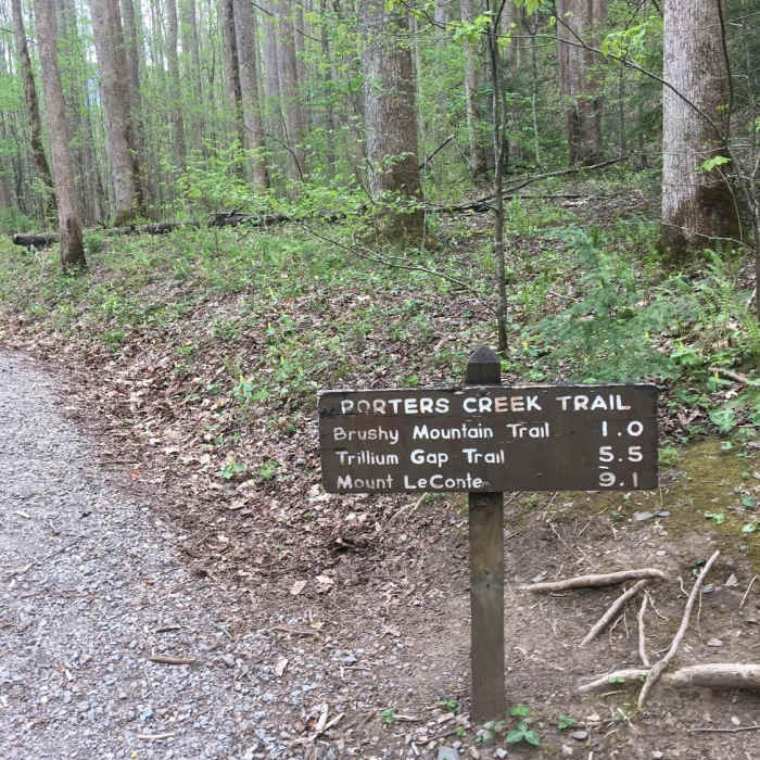 Porters Creek Trailhead is well signed, so you shouldn't have much trouble finding the trail. Near Porters Creek Trail