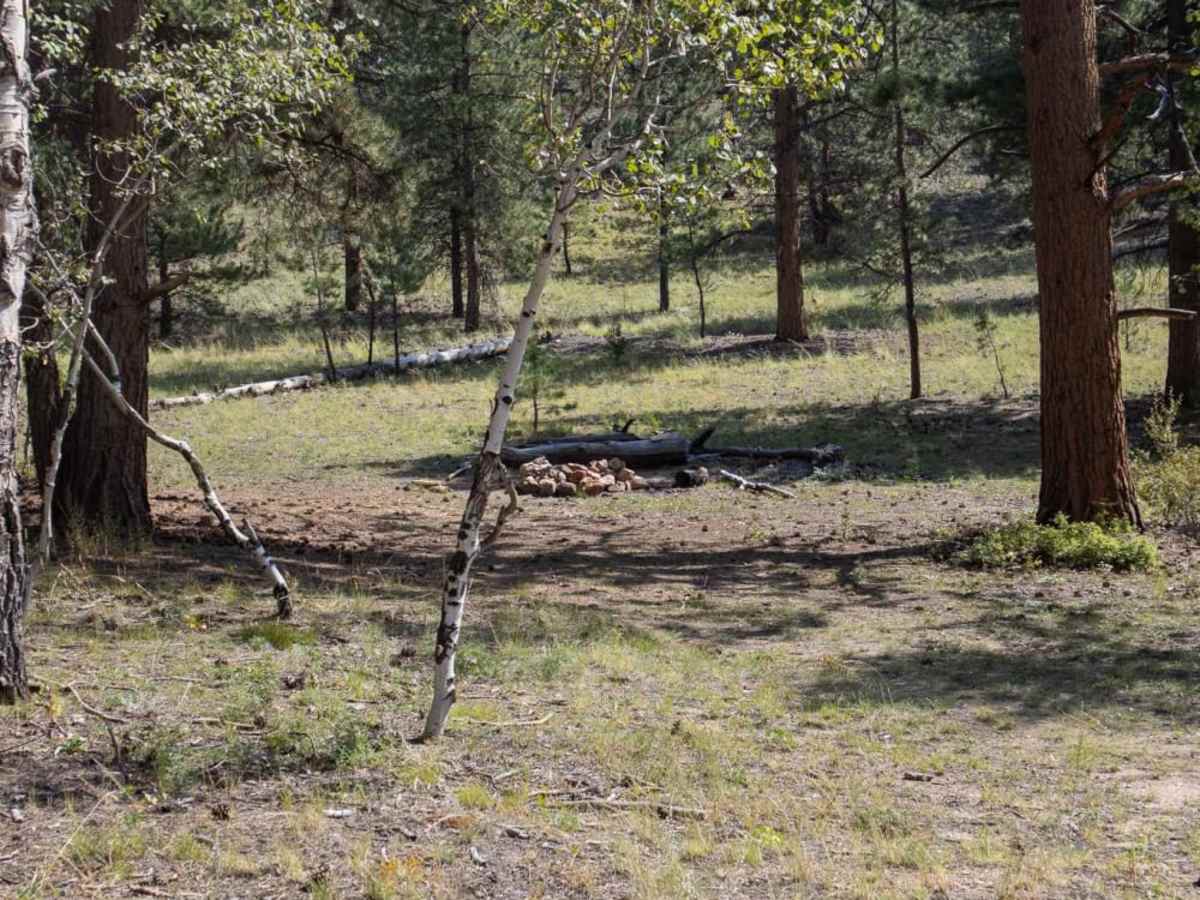 Arnold Gulch trail photo