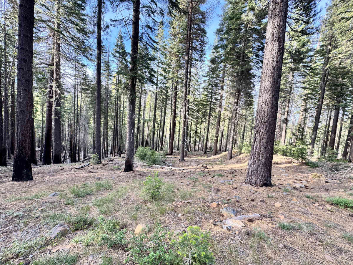 Eagle Rock - FS 27N59 photo 5