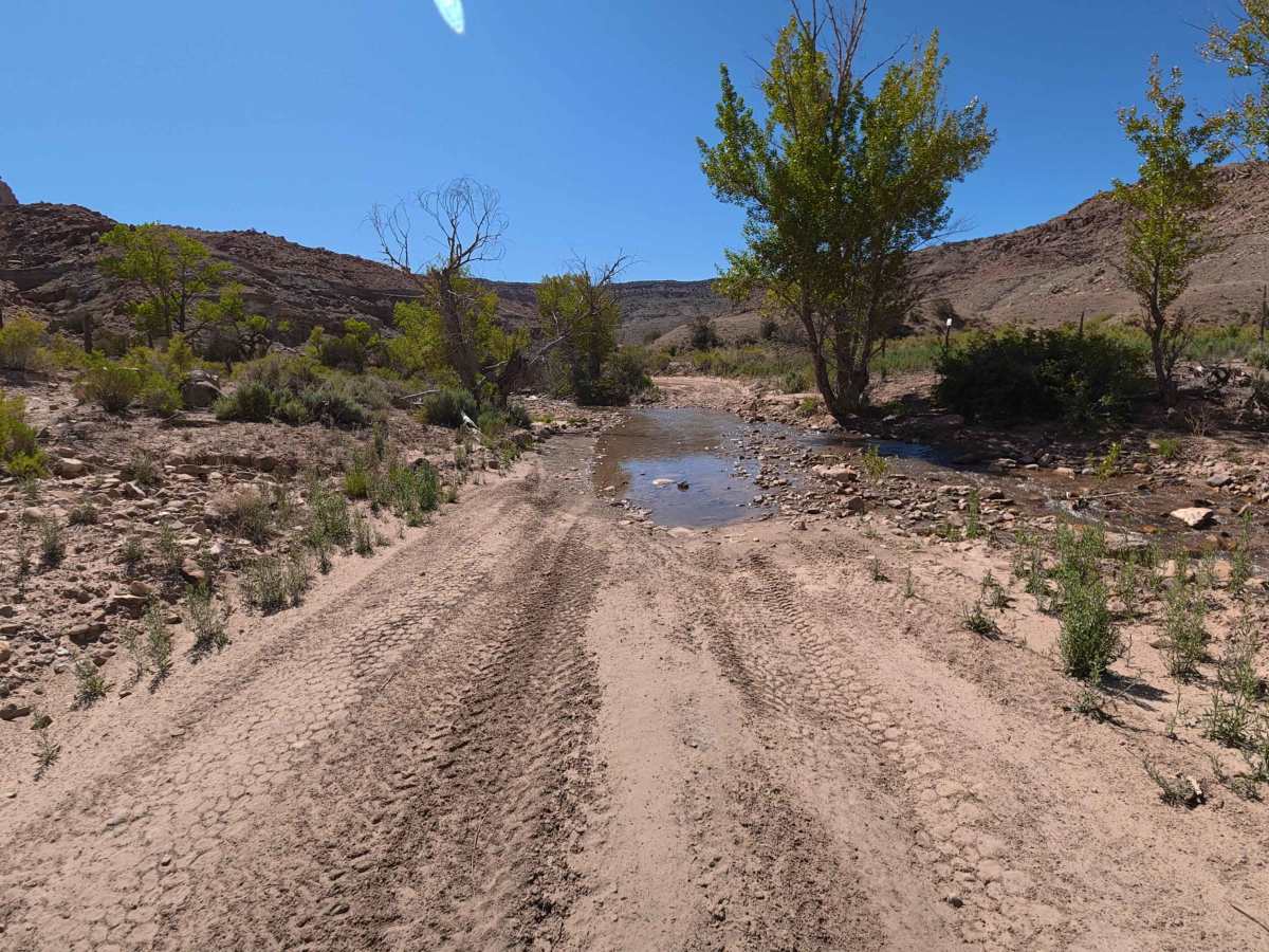 Dry Mesa Road trail photo