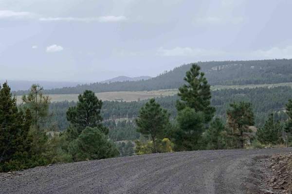 Lockett Meadow Trail