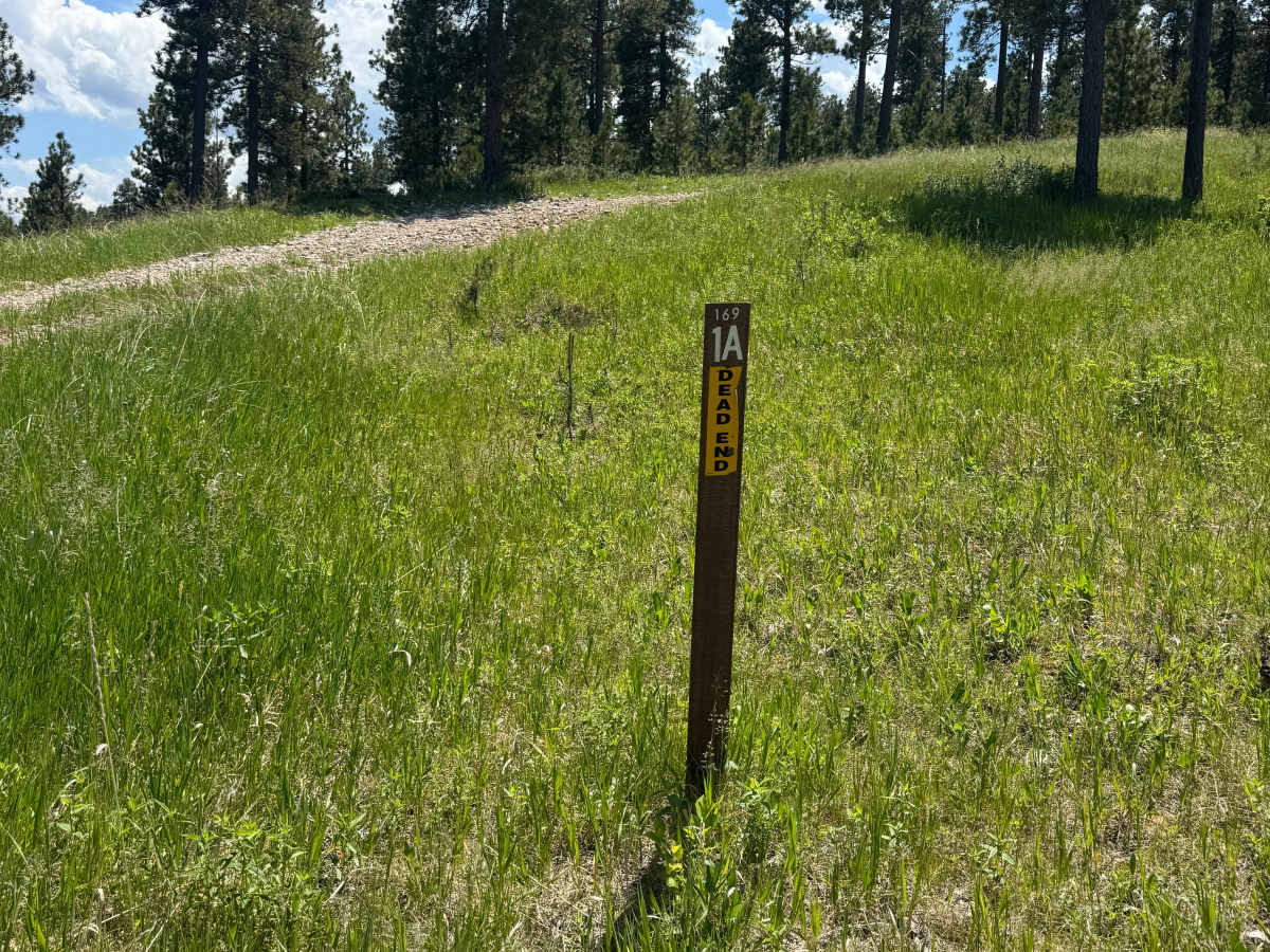 Forbes Gulch Br 1a - FSR 169.1A trail photo