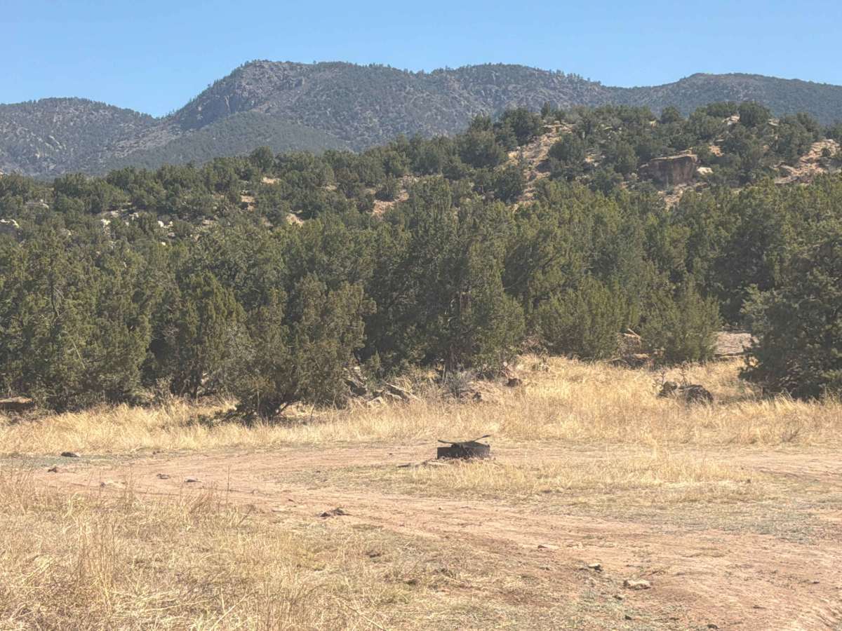 BLM 5941A photo 4