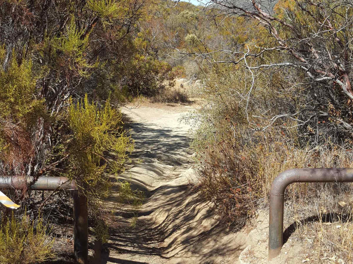 Sodbuster - Trail 9 photo 2
