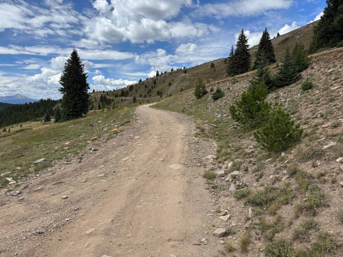 Ptarmigan Road trail photo