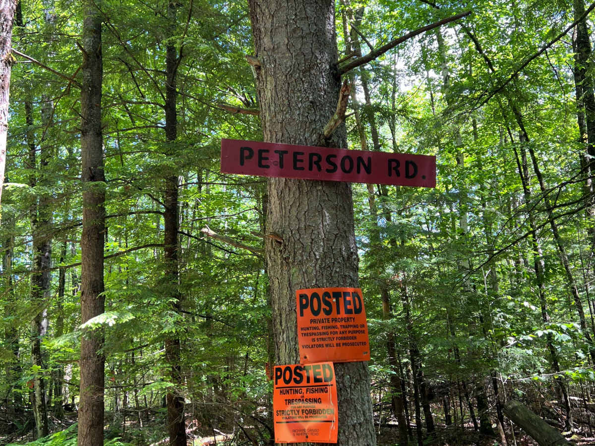 Peterson Road photo 4