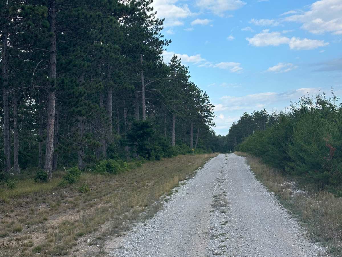 Otter Loop Around  photo 6