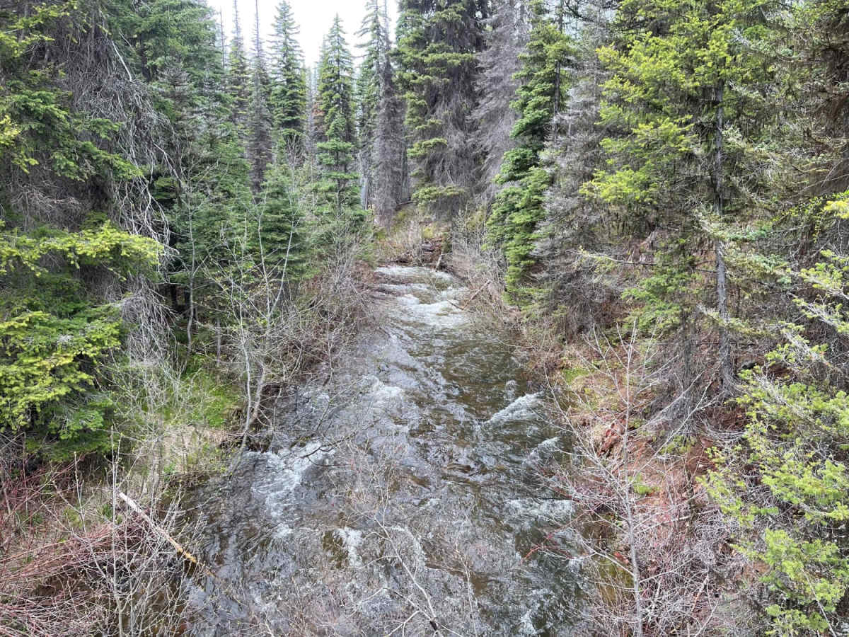 Richmond Marshall Hookup Trail photo 6