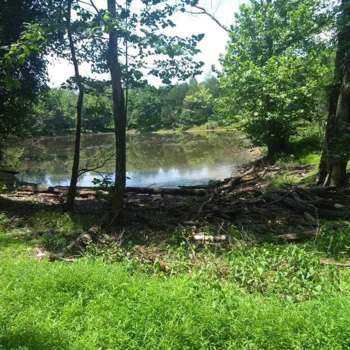 Near Brumley Nature Preserve North