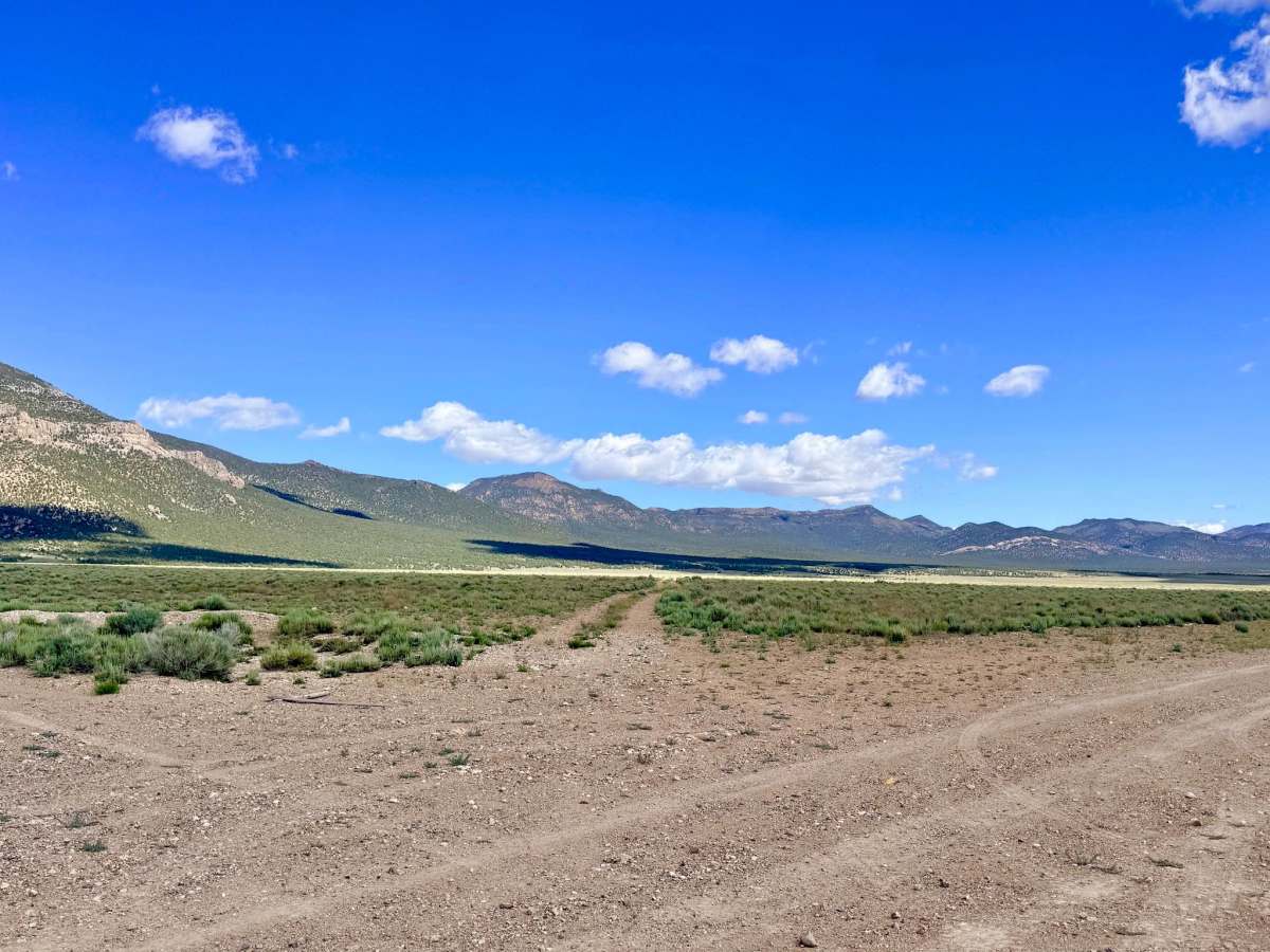 Tulle Creek Road - FS 44422 photo 4