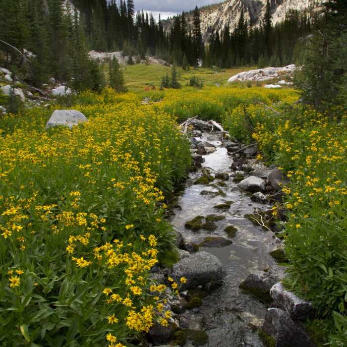 Near Little Queens River + Scenic Lake