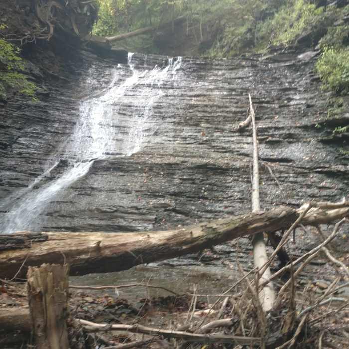 Near Blue Hen Falls Trail