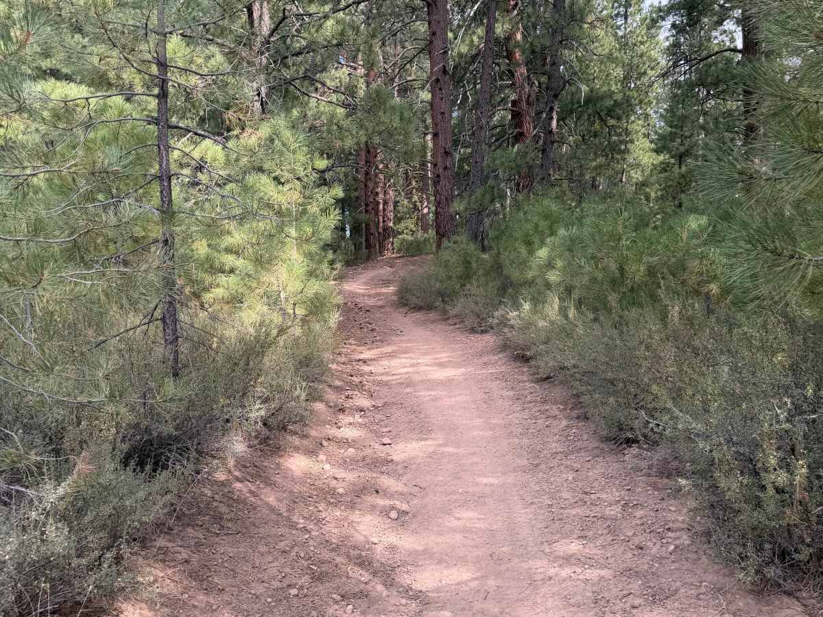 886E trail photo