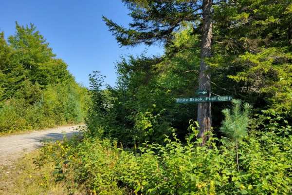 Big White Brook - Campsites