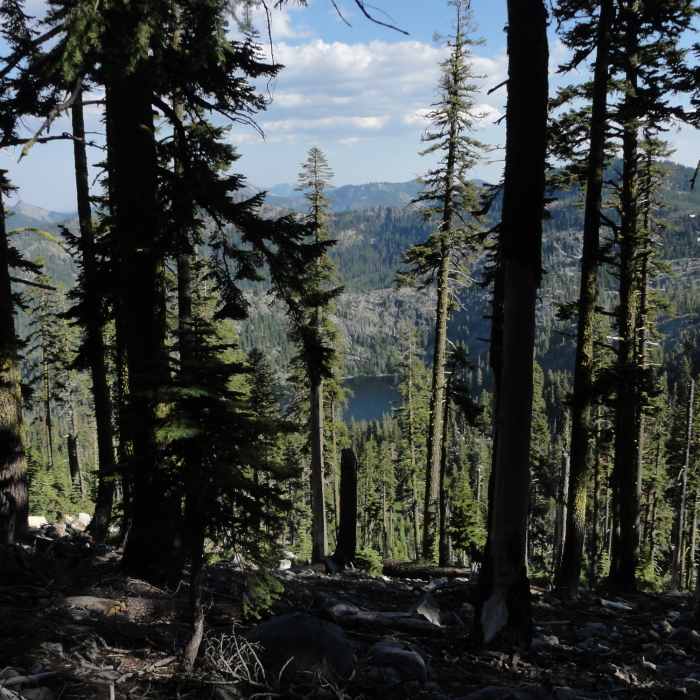 Near Bingham Lake Trail #5583