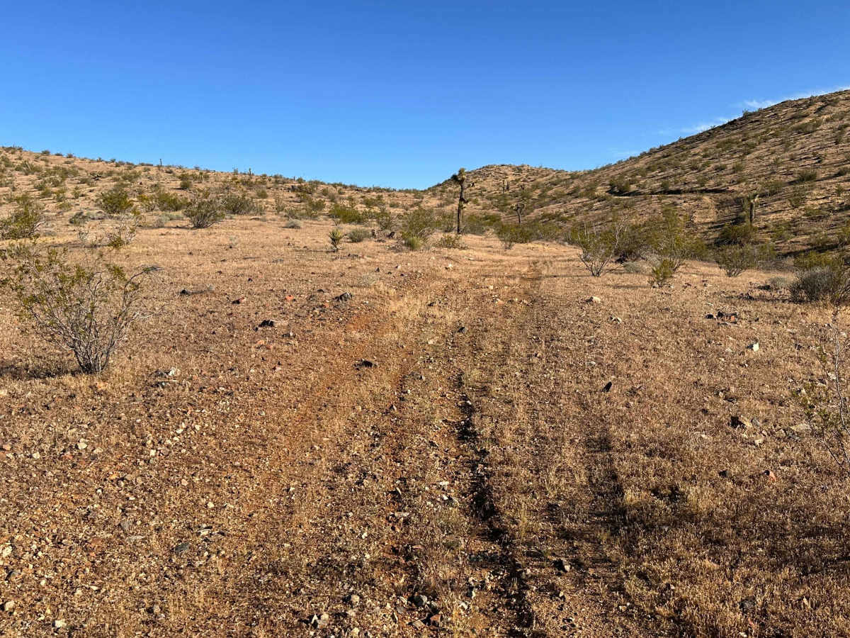 Dust Devil Trail photo 2