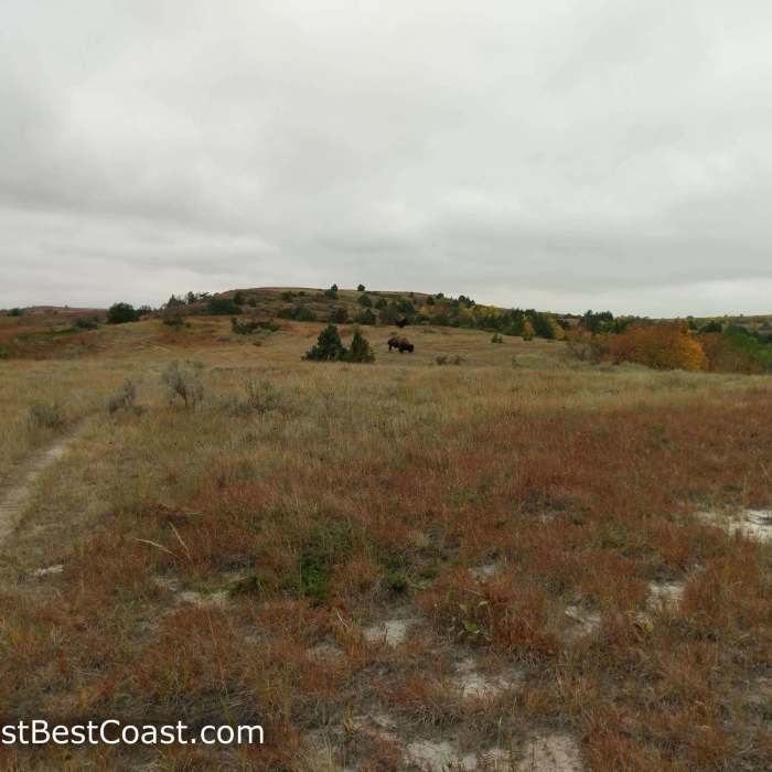 Near Caprock Coulee Trail