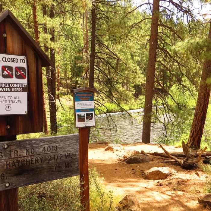 Near Metolius River Trail West