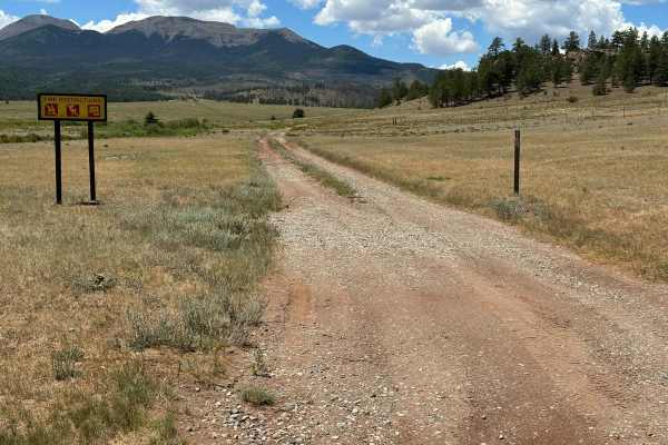 Ponderosa Road